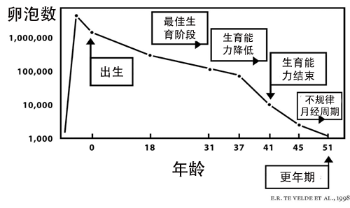 女性卵泡数量是一定的吗?