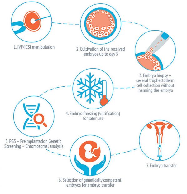 A Clear Understanding On Preimplantation Genetic Testing - Kl Fertility 